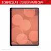Cristal para tablet Displex (9H) para Apple iPad Air 13