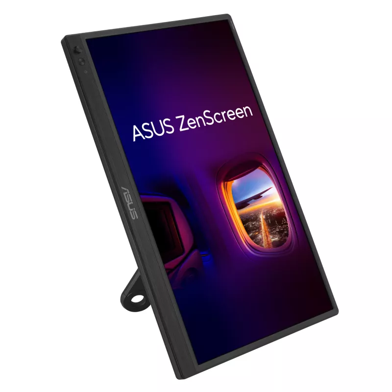 Monitor ASUS ZenScreen MB169CK 39,6 cm (15,6