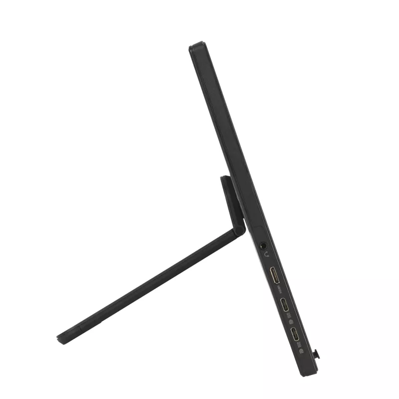 Monitor ASUS ZenScreen MB169CK 39,6 cm (15,6