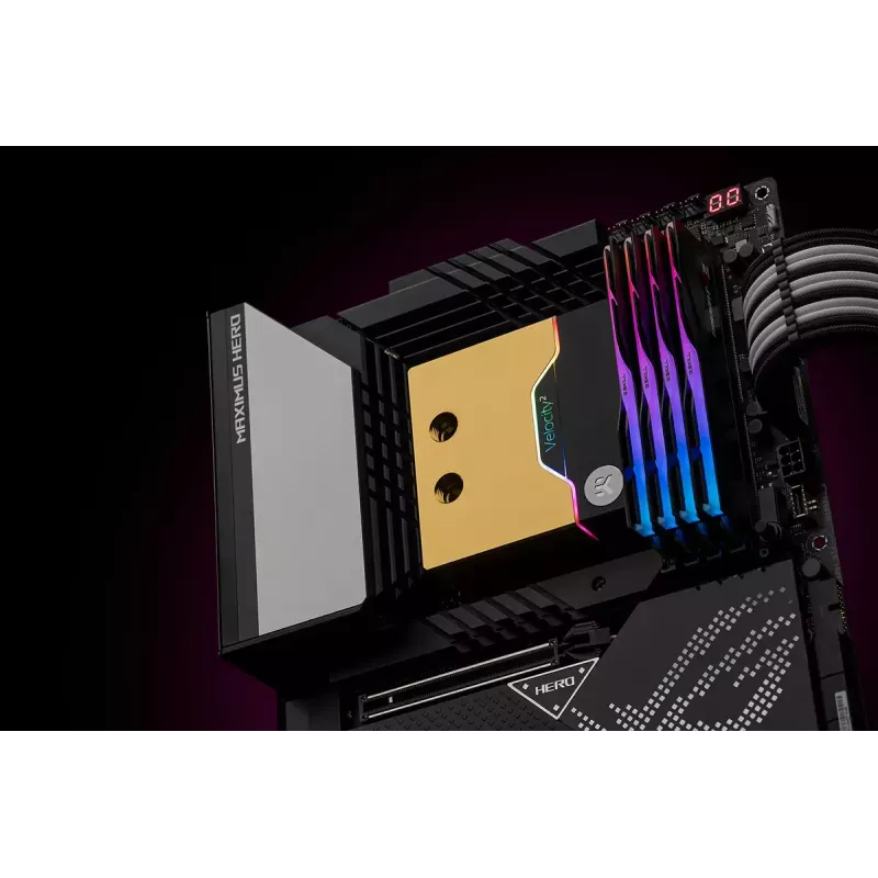 Bloque de agua EK Water Blocks Latón Cobre Negro Oro