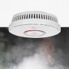 Nedis DTCTCS10WT Detector combinado de humo y monóxido de carbono, blanco
