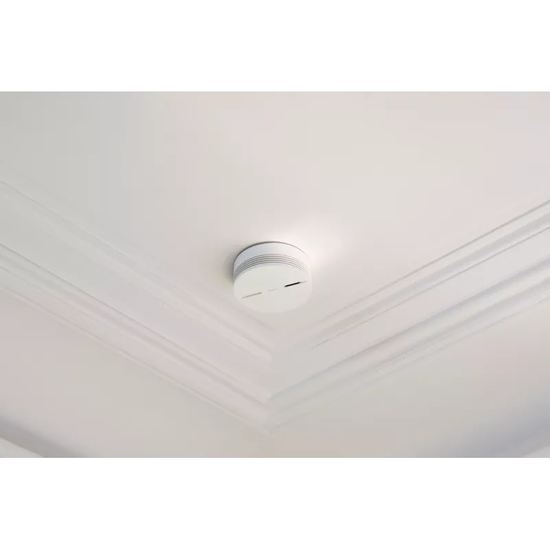 Netatmo NA-NSA-EC Conexión inalámbrica interconectable