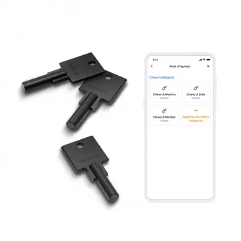 Netatmo NDL-K3U Accesorio Smart Lock llave Smart Lock