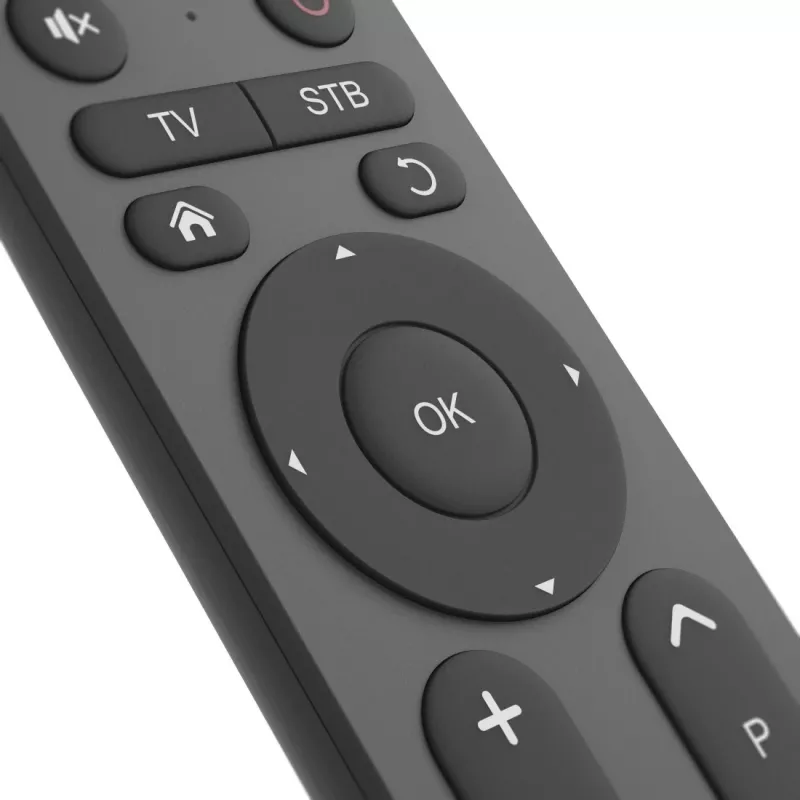 Hama 00221056 mando a distancia universal para TV 2 en 1, IR, teclas grandes, programable, negro
