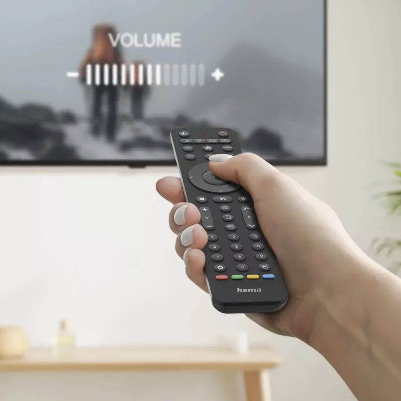 Hama 00221055 Mando a distancia IR Wireless TV de botones
