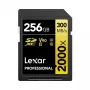 Tarjeta de memoria Lexar 256 GB SDXC Class 10 LSD2000256G-BNNNG