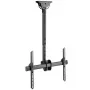 Soporte de techo telescópico universal Techly para TV LED LCD de 37-70 ICA-CPLB 946S