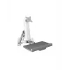 ICY BOX IB-MS600-W soporte de pared de 61 cm (24 inch) gris, plateado, blanco