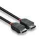 Cable DisplayPort 1.2 Lindy 1m, Black Line
