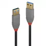 Cable Lindy 1 m USB 3.2 Type-A, 5 Gbit/s, Anthra Line