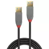 Cable Lindy 1 m USB 3.2 Type-A, 5 Gbit/s, Anthra Line