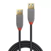 Cable de prolongación USB 3.2 Type-A Lindy 1 m, 5Gbit/s, Anthra Line