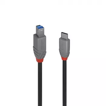 Lindy 2m cable USB 3.2 Type-C a B, Anthra Line