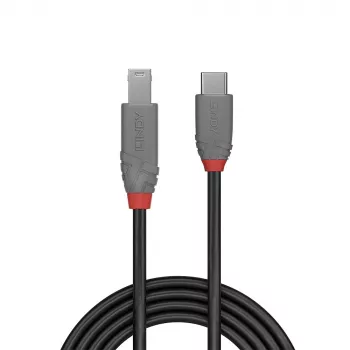Lindy 2m cable USB 3.2 Type-C a B, Anthra Line