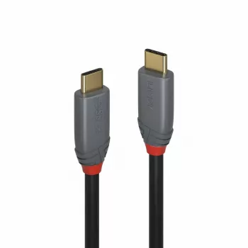 Lindy 2m cable USB 3.2 Type-C, 5A PD, Anthra Line