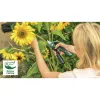 Bosch EasyPrune Classic 06008B2102 tijeras de podar inalámbricas, bypass, 3,6 V, capacidad de corte 25 mm, 490 g, verdes/negras