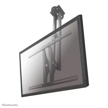 Soporte de techo para monitor/TV Neomounts PLASMA-C100 37-75