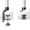 StarTech.com Soporte de mesa para monitor para pantallas de 27
