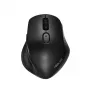 ASUS MW203 Ratón de oficina para diestros RF inalámbrico + Bluetooth óptico 2400 DPI