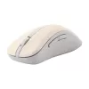 Ratón ASUS Wireless MD102 universal para diestros RF inalámbrico + Bluetooth óptico 1600 DPI
