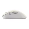 Ratón ASUS Wireless MD102 universal para diestros RF inalámbrico + Bluetooth óptico 1600 DPI