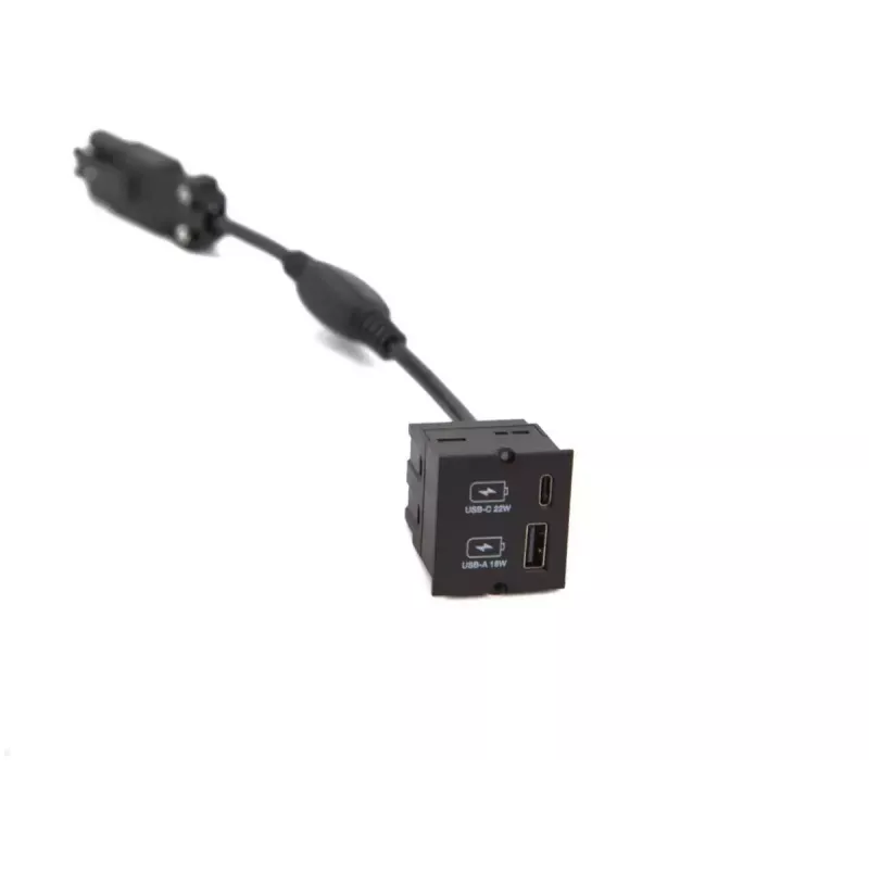 Módulo de enchufe USB-A + USB-C Bachmann 917.227 negro IP20 250V