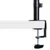 StarTech.com A-LAPTOP-DESK-MOUNT soporte de escritorio para monitor y portátil, para pantallas de hasta 34 pulgadas (8 kg / 17,6 lb) y portátiles (4,5 kg / 9,9 lb), brazo articulado con bandeja VESA para portátil, montaje con abrazadera