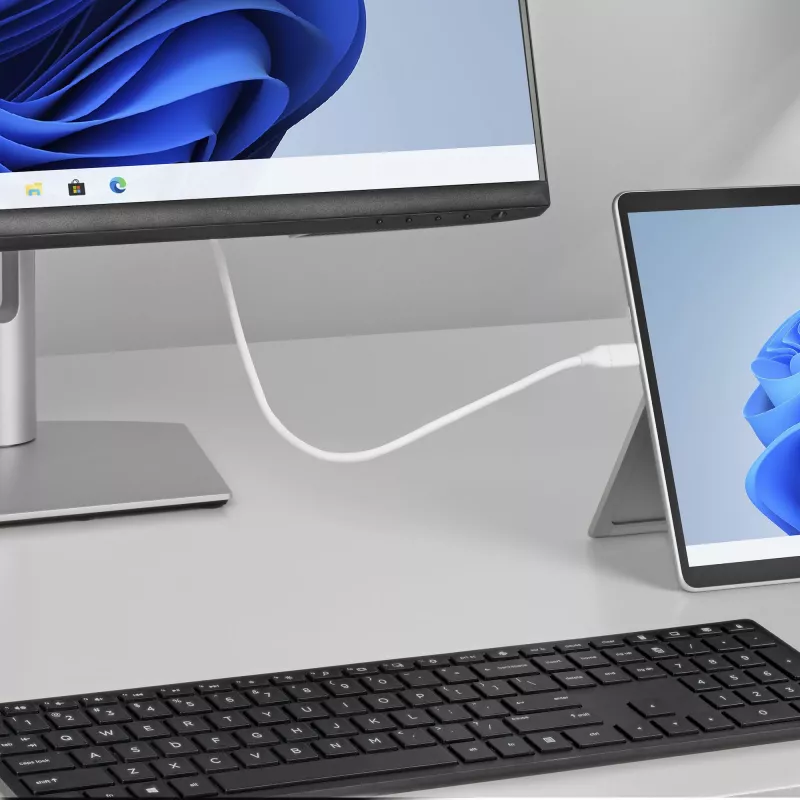 Cable StarTech.com de 6ft (2m) USB-C a DisplayPort 1.2, bidireccional, 4K 60Hz, blanco, cable adaptador de vídeo para Apple MacBook Pro / Air M1 M2 M3 M4, Mac Mini / Studio, compatible con Thunderbolt