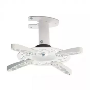 Vivolink VLMC101-H Soporte de proyector Techo Blanco