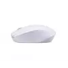 Ratón Acer M501 RF inalámbrico óptico