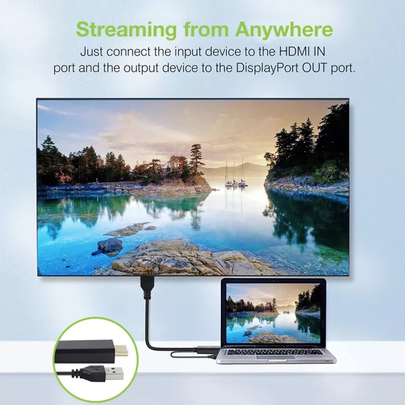 Techly ICOC-HDMI-DP12A adaptador de HDMI a DisplayPort con alimentación USB, 4K 30 Hz