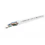 Cable de red Lanview LVN122165