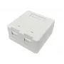 Lanview LVN127767 Caja de conexión 2 x RJ-45 blanca