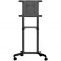 StarTech.com carro móvil para TV - soporte de TV rodante portátil para pantallas VESA de 37-70