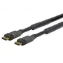 Vivolink PRODPAM20 Cable DisplayPort 20 m Negro