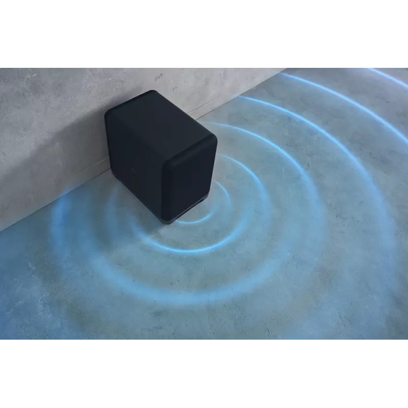 Subwoofer pasivo Sony SA-SW5, 300 W, negro