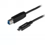 StarTech.com Cable USB-B a USB-C de 1 m, USB 10 Gbit/s, cable de datos, USB 3.2 Gen 2, cable de transferencia de datos USB-C