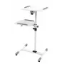 Vivolink VLPS100 soporte para proyector suelo blanco