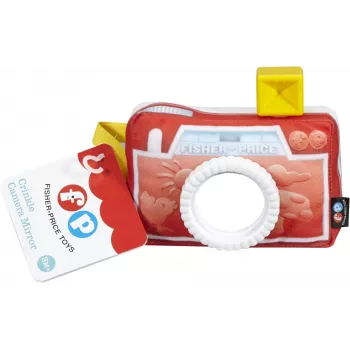 Juguete educativo Fisher-Price Everything Baby DFR11