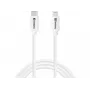 Cable Sandberg USB-C PD a Lightning MFI 1M 1m Lightning USB C