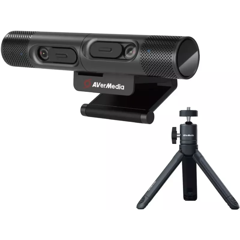 Webcam AVerMedia PW313D 5 MP 2592 x 1944 píxeles