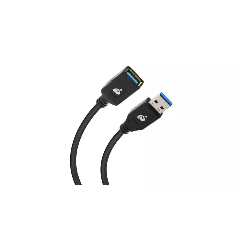 Cable USB IOGEAR G2LU3AMF USB 3.2 Gen 1 0,3 m USB A Negro