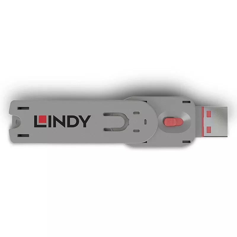 Llave para bloqueador de puerto Lindy USB Type-A Rosa