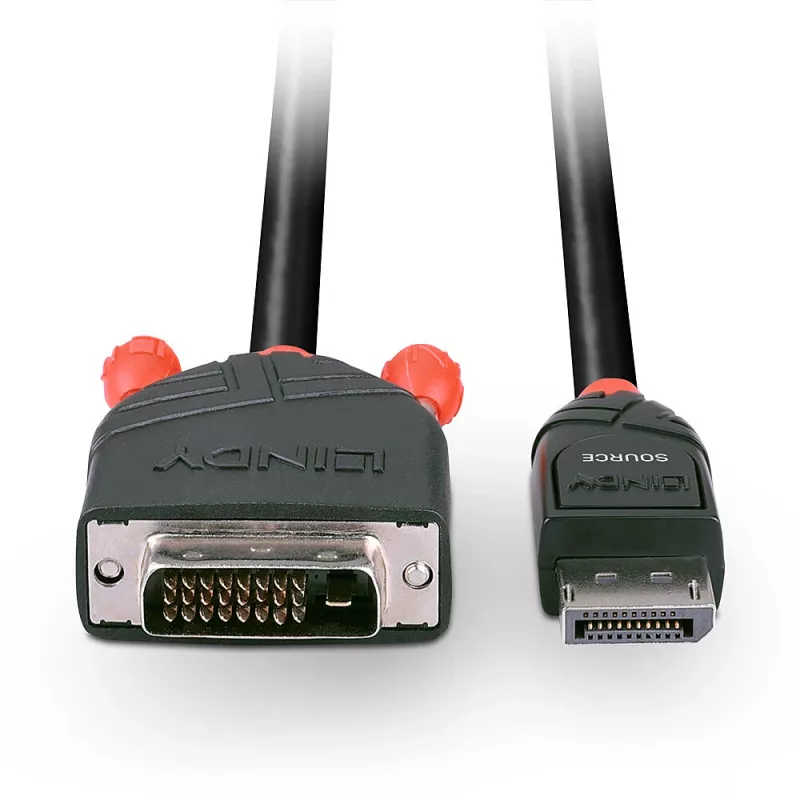 Cable DisplayPort a DVI Lindy 5 m
