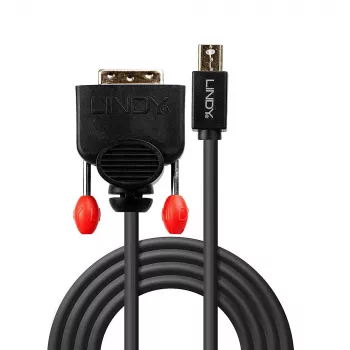 Cable Mini DisplayPort a DVI Lindy 1 m, negro