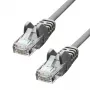 Cable de red ProXtend CAT5e RJ-45 conector macho 1,5 m gris
