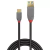 Cable adaptador USB 3.2 Type-C a A Lindy 0,15 m, 10 Gbit/s, Anthra Line