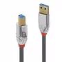 Cable USB 3.2 tipo A a B Lindy 0,5 m, 5 Gbit/s, Cromo Line