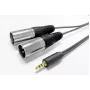 Cable de audio Vivolink PROMJXLRS5, de 3,5 mm a 2x XLR macho, 5 m