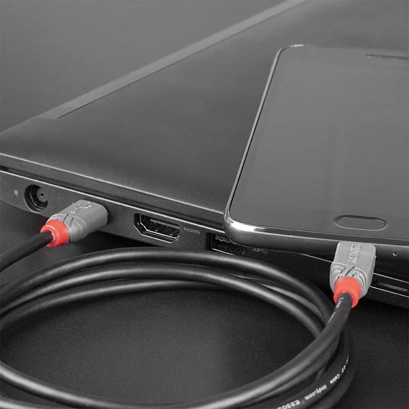 Lindy cable USB 2.0 Type-C a Micro-B de 3 m, Anthra Line